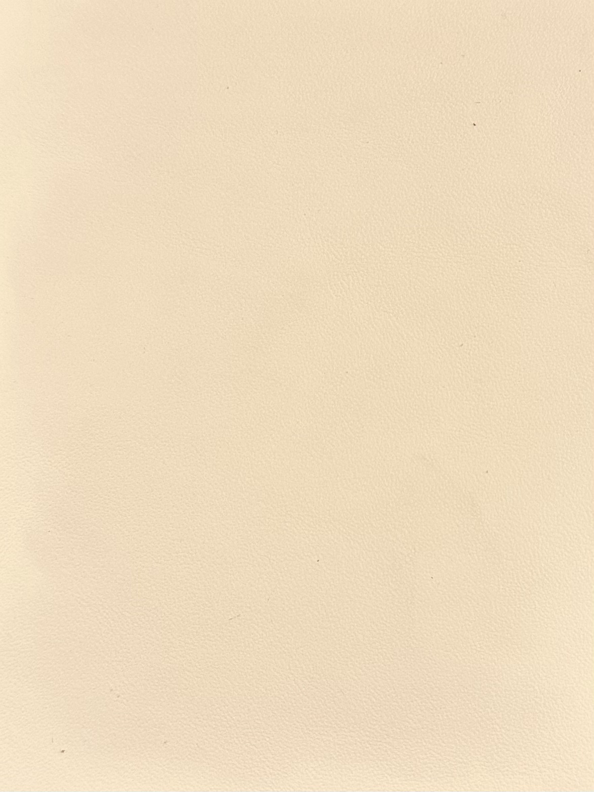 elfenbein beige glatt