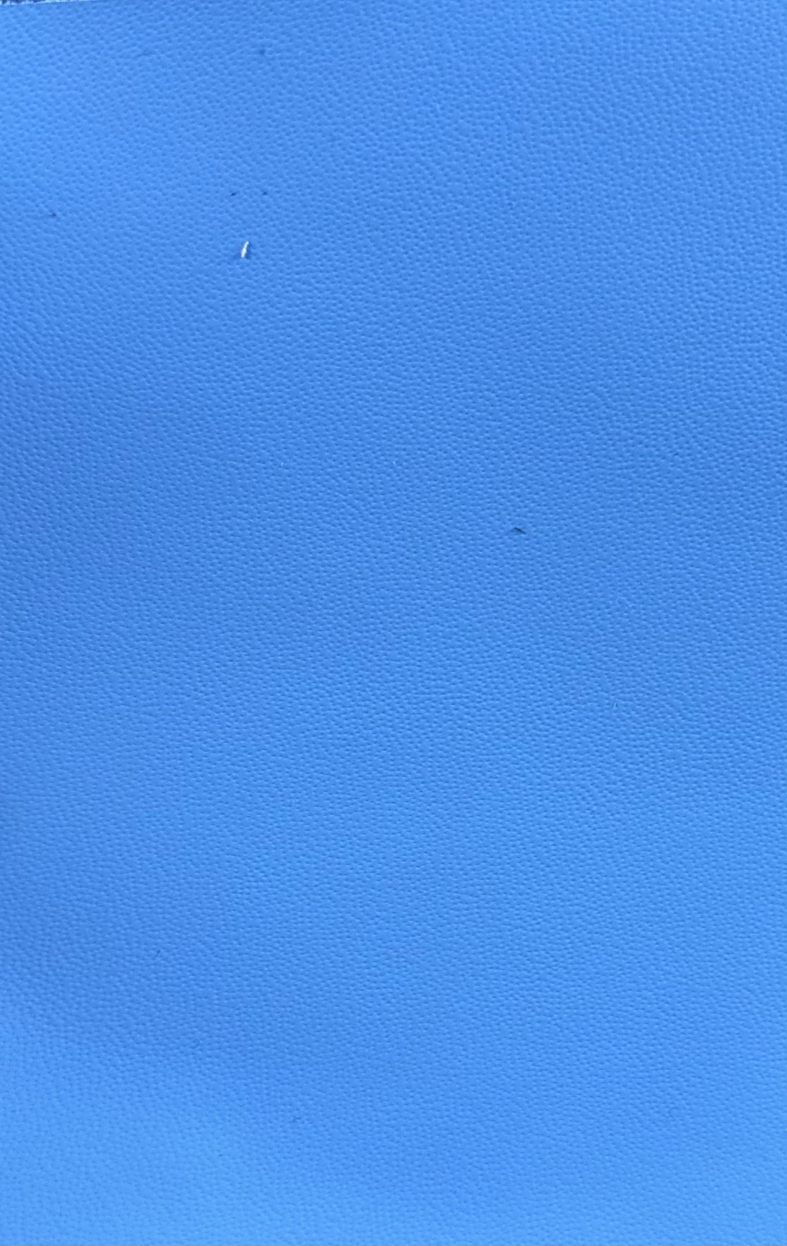 blau glatt